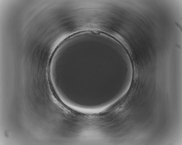 X0000099560958200806131231