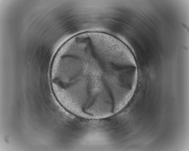 X0000099560959200806131231