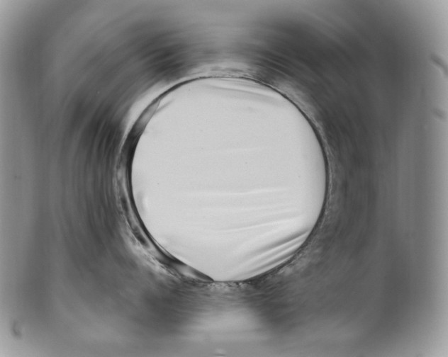 X0000099560960200806131231