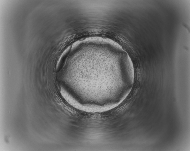 X0000099560961200806131231