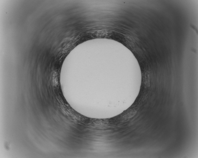 X0000099560962200806131230