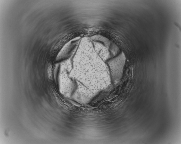 X0000099560963200806131230