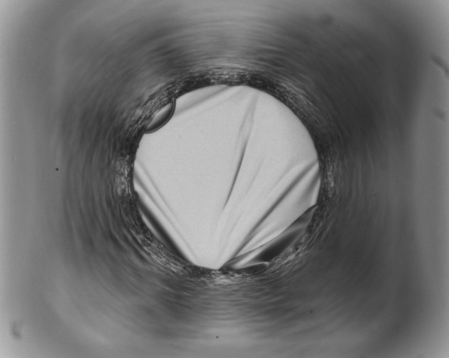 X0000099560964200806131230