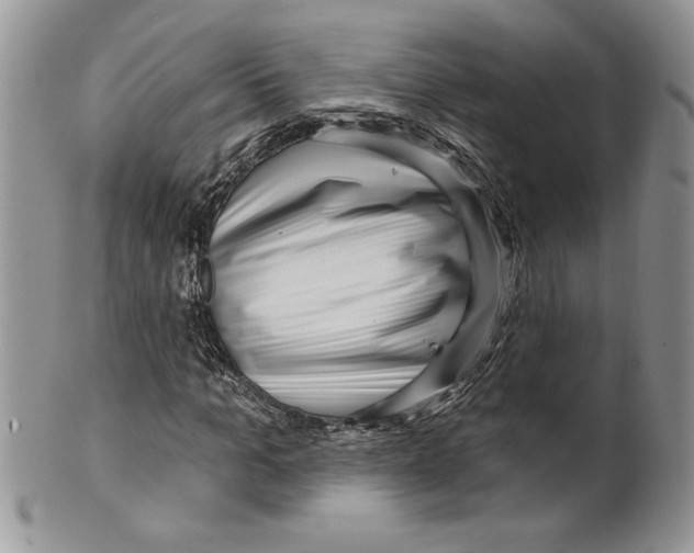 X0000099560965200806131230