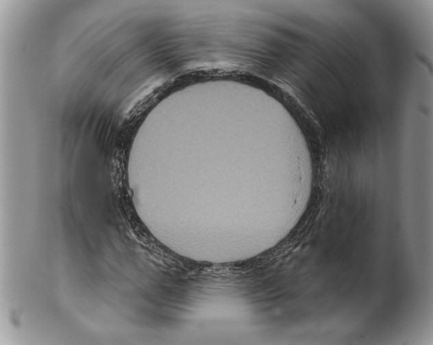 X0000099560967200806131230