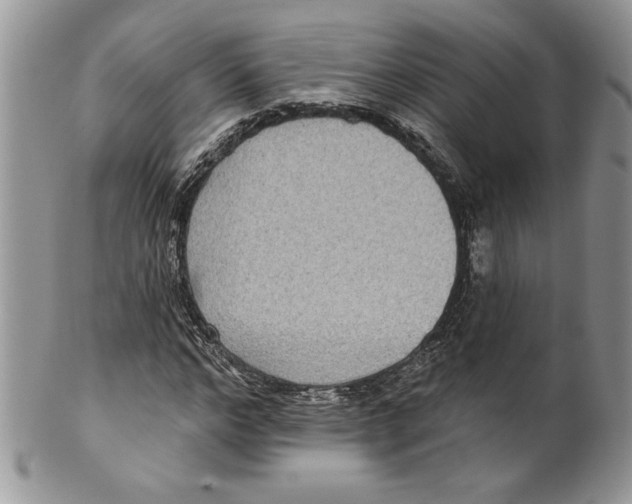 X0000099560968200806131230