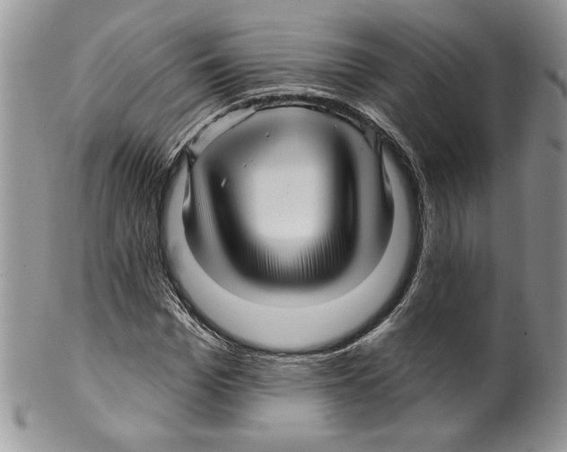 X0000099560969200806131230