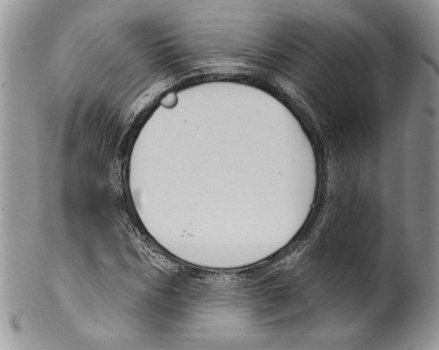 X0000099560970200806131230