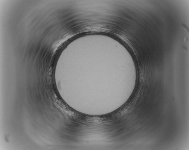 X0000099560971200806131230