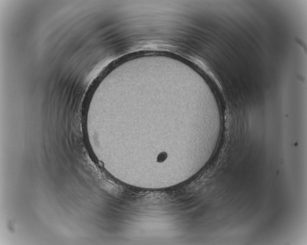 X0000099560972200806131230