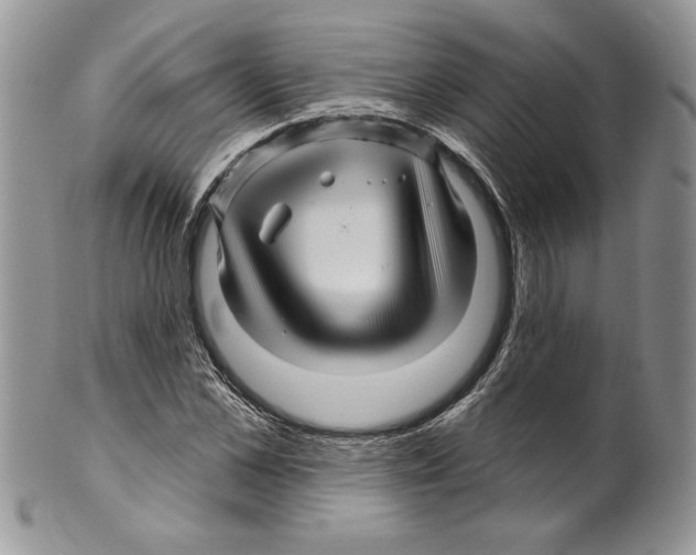 X0000099560973200806131230