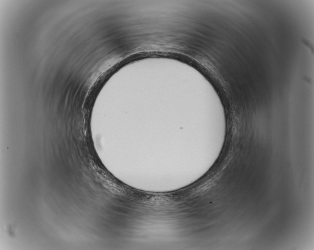 X0000099560974200806131230