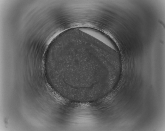 X0000099560975200806131230