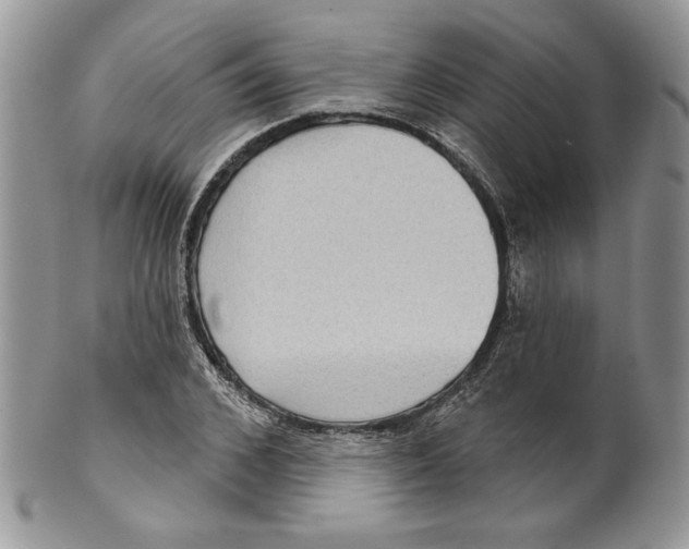 X0000099560976200806131230