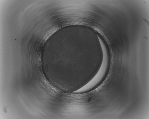 X0000099560977200806131230