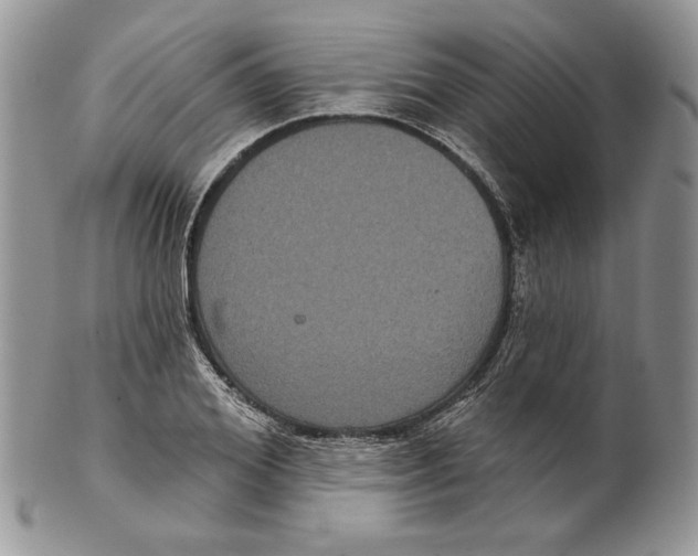 X0000099560980200806131230