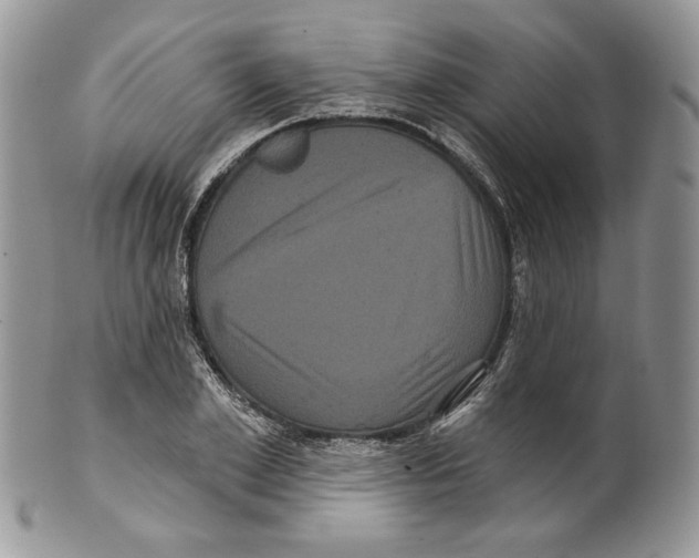 X0000099560981200806131230