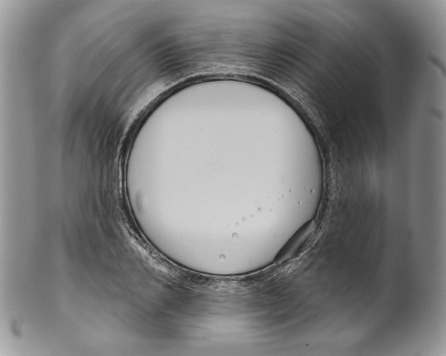 X0000099560982200806131230