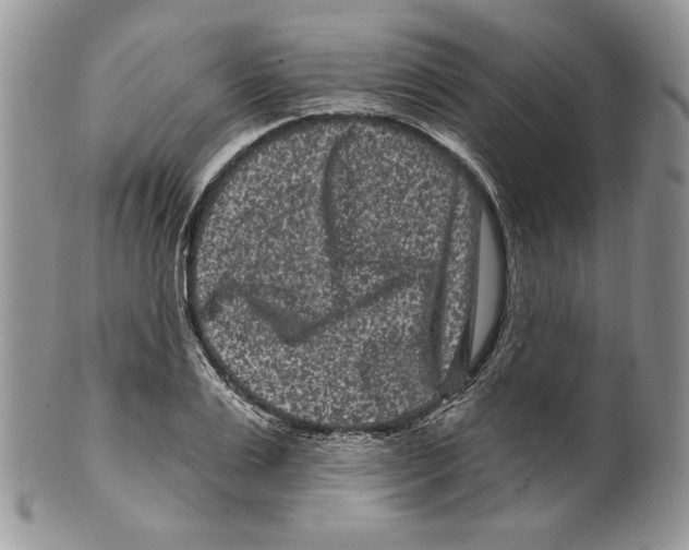 X0000099560983200806131230