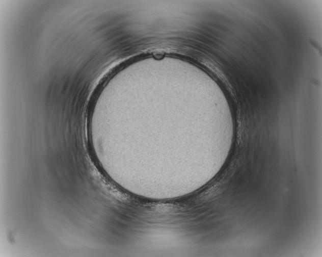 X0000099560984200806131230