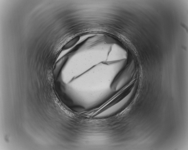 X0000099560985200806131230