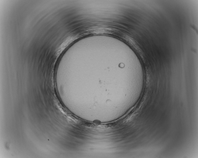 X0000099560986200806131230