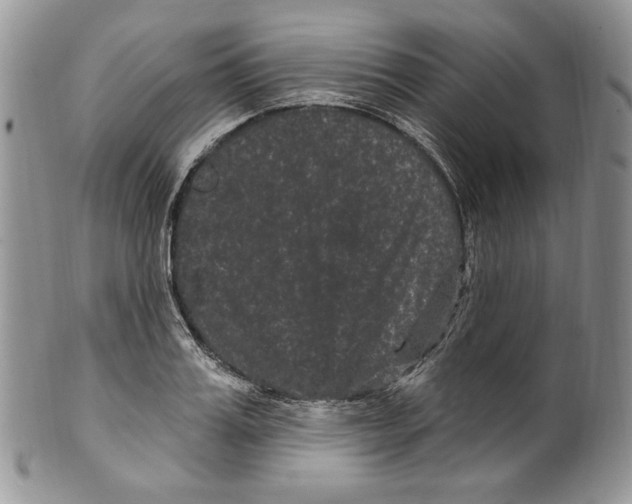 X0000099560987200806131230