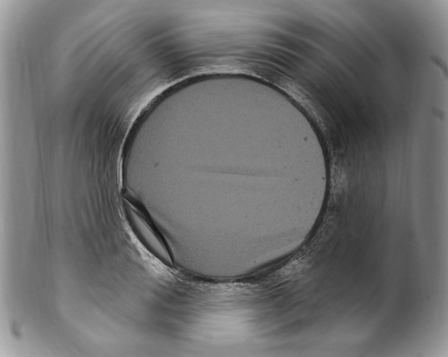 X0000099560988200806131230