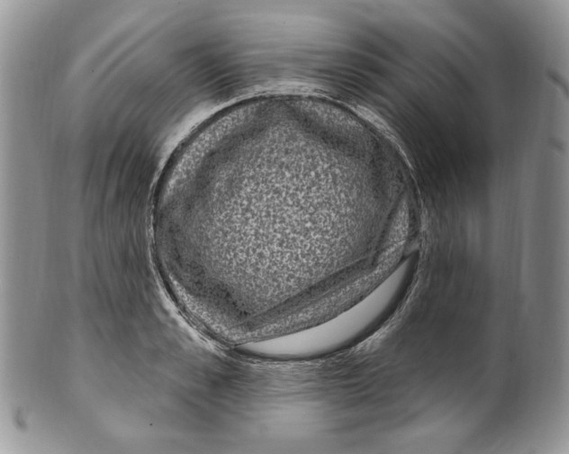 X0000099560989200806131230