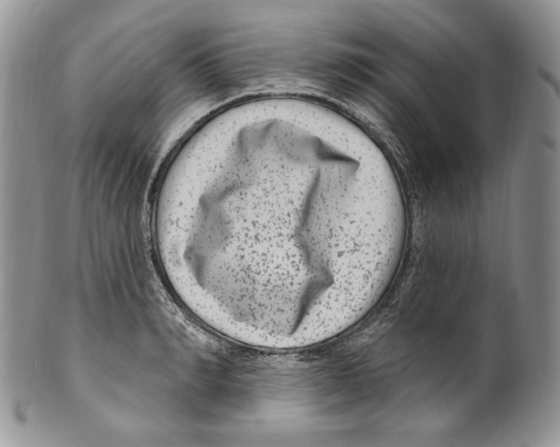 X0000099560990200806131230