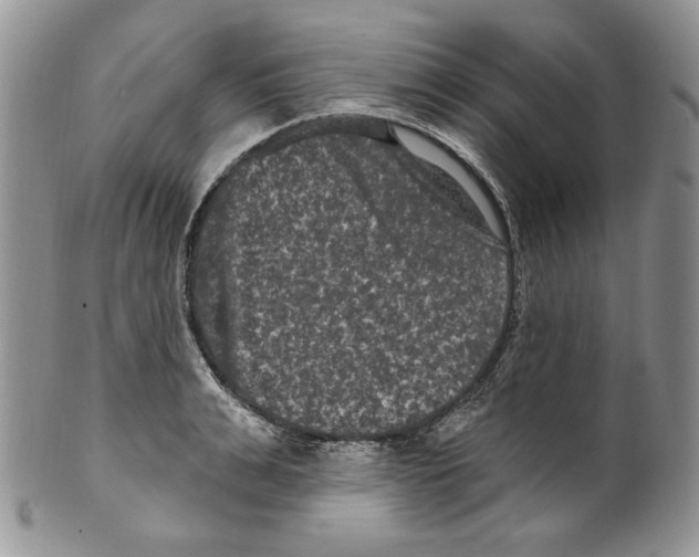 X0000099560991200806131230