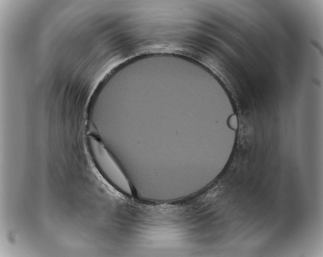 X0000099560992200806131230