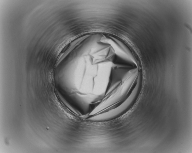 X0000099560993200806131230