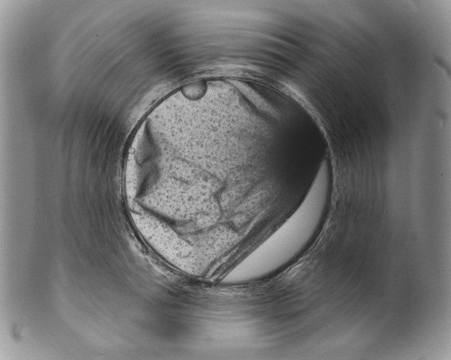 X0000099560994200806131230