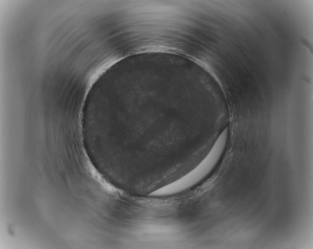 X0000099560995200806131230