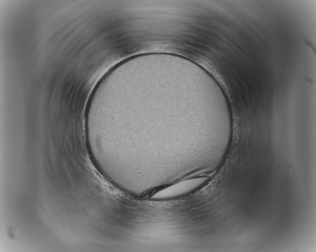 X0000099560996200806131230