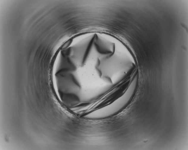 X0000099560997200806131230