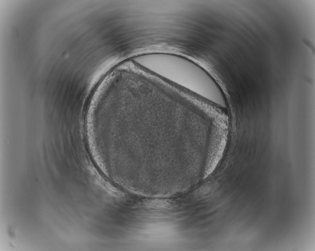 X0000099560998200806131230