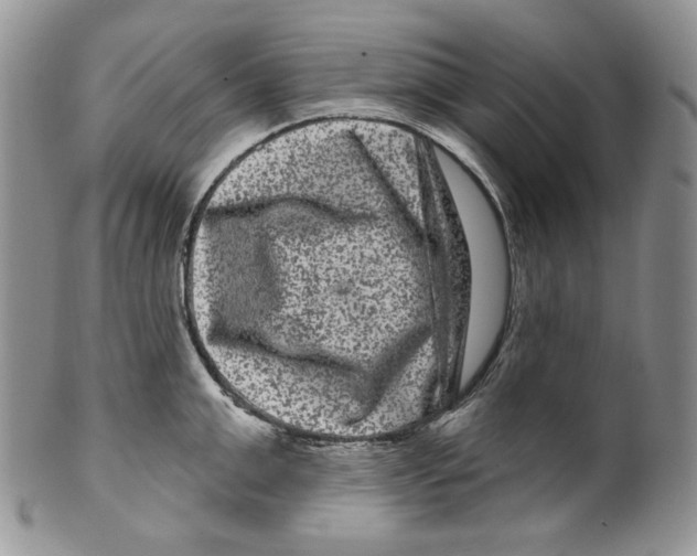 X0000099560999200806131230