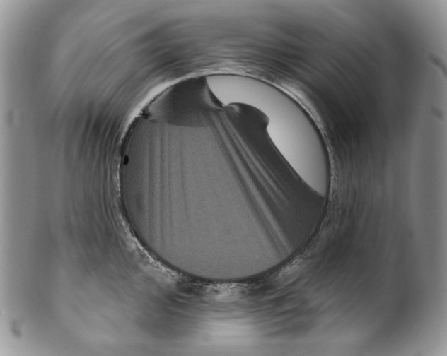 X0000099561000200806131230