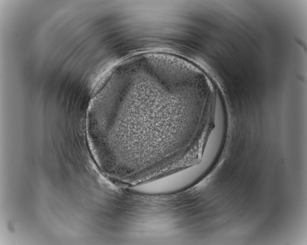 X0000099561001200806131230