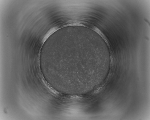 X0000099561002200806131230