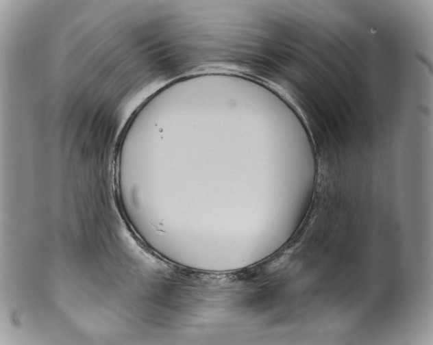 X0000099561003200806131230