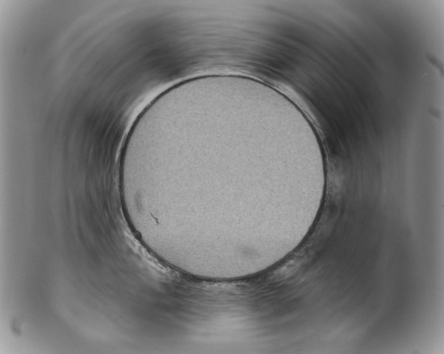 X0000099561004200806131230