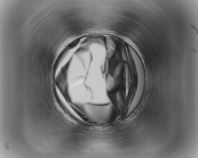 X0000099561005200806131230