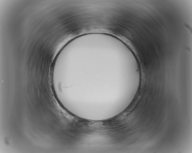 X0000099561006200806131230