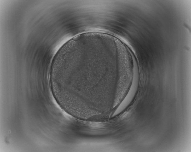 X0000099561007200806131230