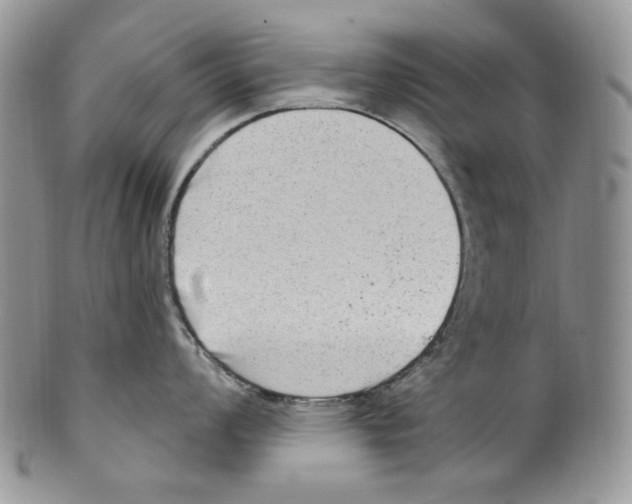 X0000099561008200806131230