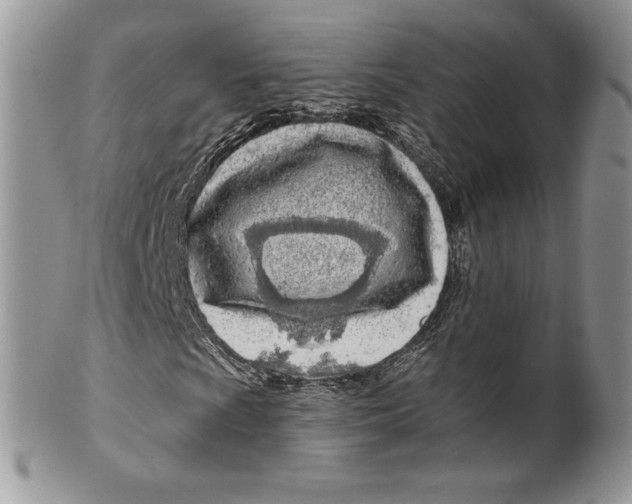 X0000099561009200806131229