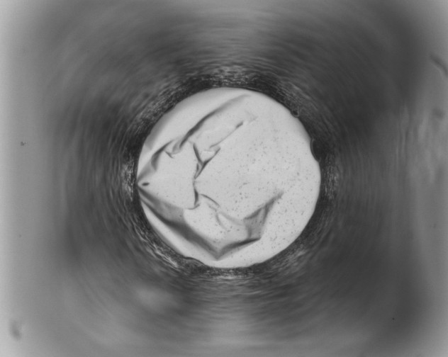 X0000099561010200806131229